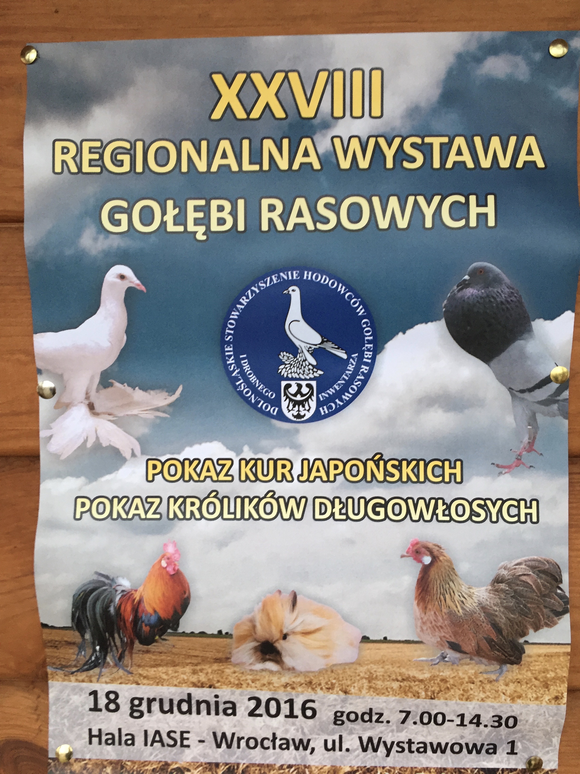 XXVIII Regionalna Wystawa Gołębi Rasowych 2016 Wrocław